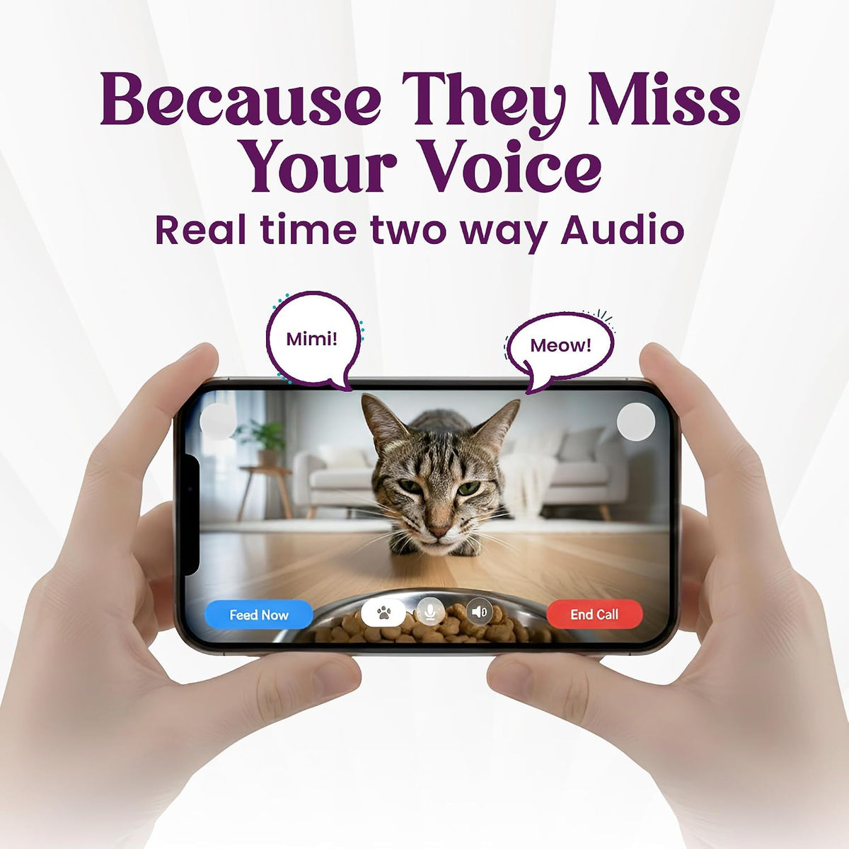 Smart WiFi Pet Feeder with HD Camera